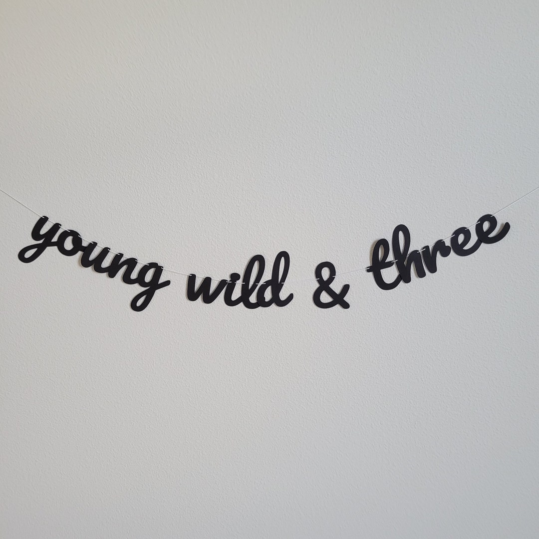 Young Wild & Three, Young Wild and Three Banner, 3rd Birthday Party ...