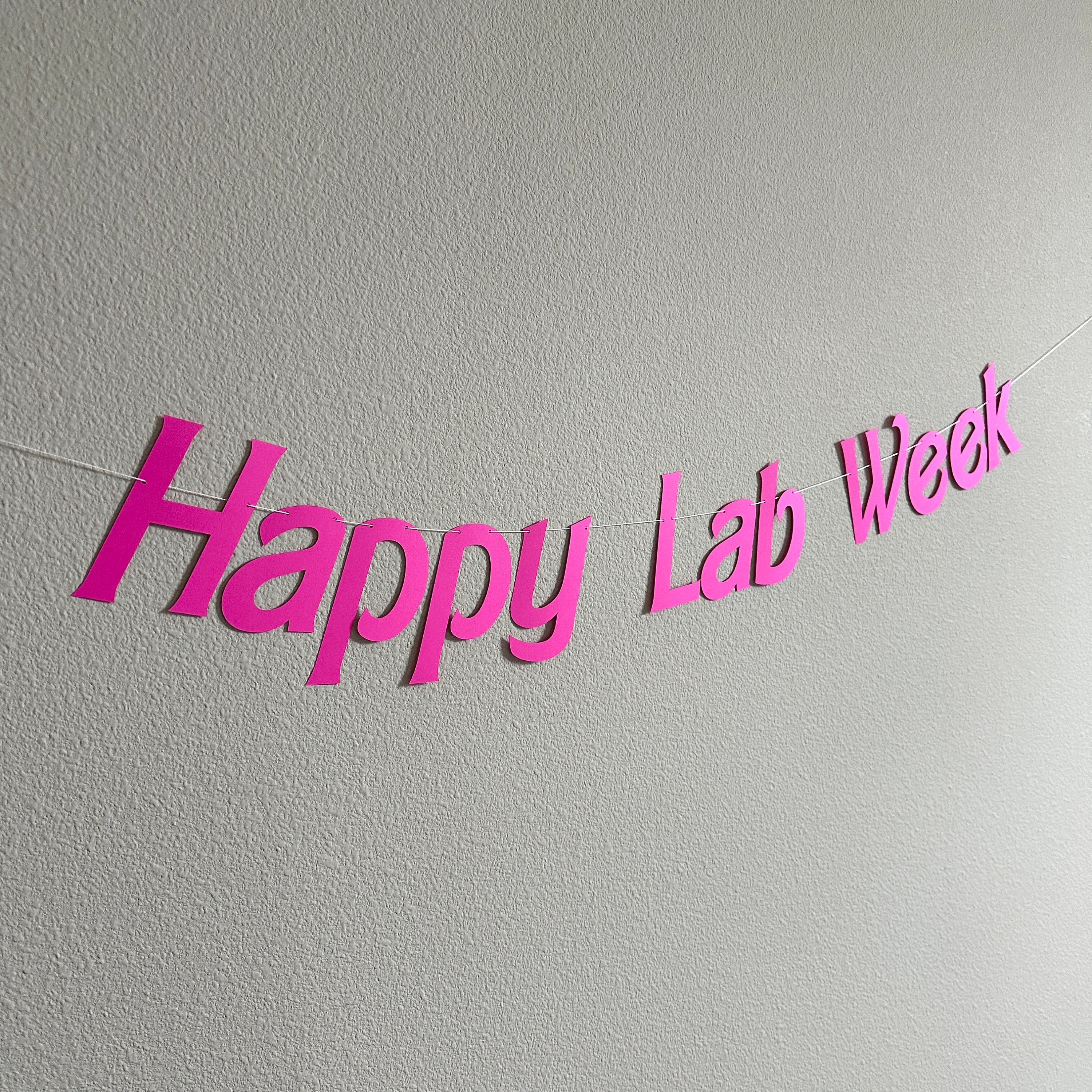 Happy Lab Week. Sign Happy Lab Week, Lab Week 2024, Lab Week Decorations, Lab Week Banner ...