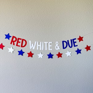 Red White & Due, Red White and Due Banner, Pregnancy Announcement, 4th of July Baby Shower, Red White and Blue Baby Shower, Summertime Baby