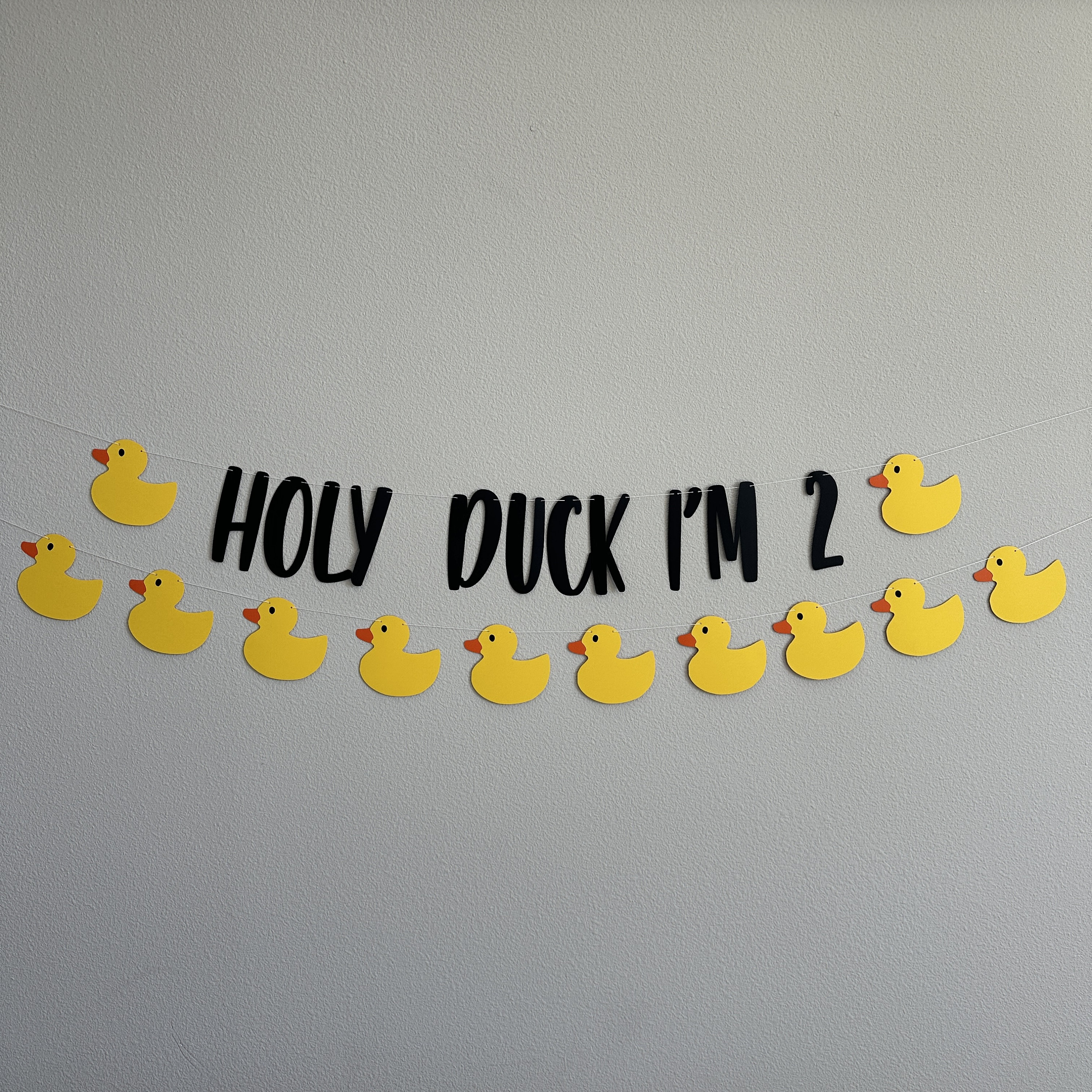 Holy Duck I'm 2, Duck Garland, Duck Decorations, Duck Birthday, Duck ...