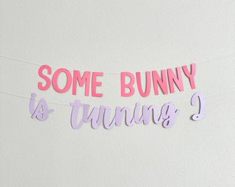 Some Bunny Is Turning 2 Banner | Cute Birthday Decoration, Bunny Theme Party, Kids Birthday, Photo Props & Celebrations