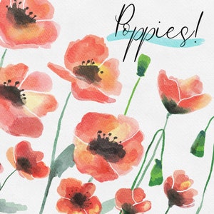 Poppies Watercolor Clipart, Red Poppy Clipart, Watercolor Poppy Flowers, Poppy Download, Poppy PNG, Digital Download, Watercolor Flowers