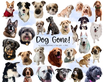 Dog PNG Files, Puppy Illustrations, Dog Art, Pet, Puppy, Puppy Stickers, Realistic Dog, Dog Stickers, Canine Art. Digital Drawing