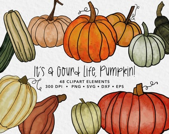 Pumpkin SVG Bundle, Gourd art, Thanksgiving PNG, Hand-drawn Autumn clipart, Fall Bundle, Halloween art, watercolor pumpkins commercial use