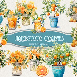 Watercolor Oranges Clipart - digital png citrus, fruit graphics for instant download commercial use