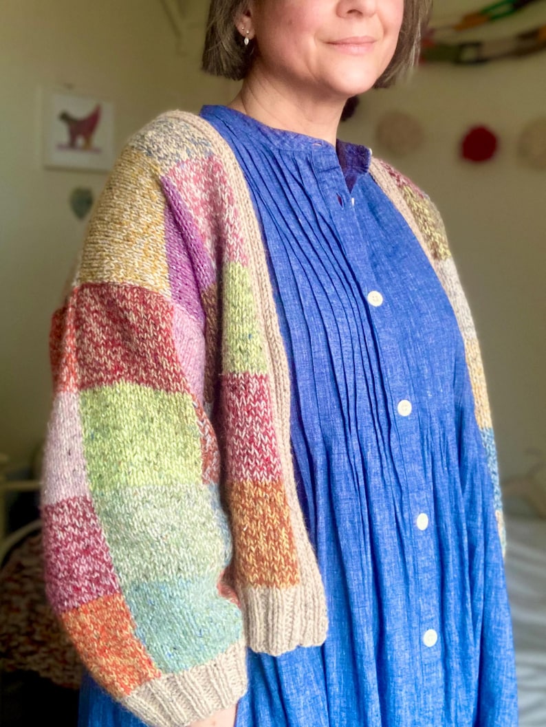 Op de afbeelding: Een veelkleurig patchwork gebreid vest met een beige rand. De mouwen hebben vierkanten in rood, groen, roze en oranje. Het vest wordt gedragen over een blauwe jurk met plooien en witte knopen.