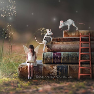 Book fairy, digital background, backdrop, forest at night, books, fantasy, for girls and boys, cute, fairy, mouse, mice