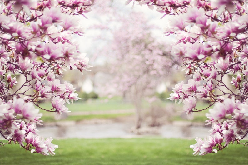 zoom background images spring