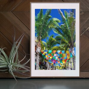 Casa Colibri Bougainvillea II Baja Travel Photo Wall Art Around the World Series Art Print Home Decor La Paz Mexico Photography