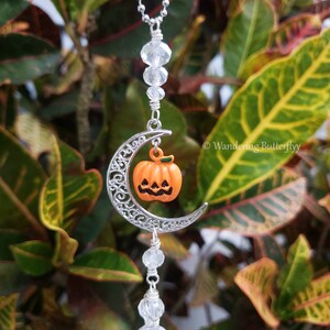 May include: A silver crescent moon charm with a small orange pumpkin hanging from it. The charm is attached to a silver chain with clear crystal beads. The charm is hanging from a green leafy plant.