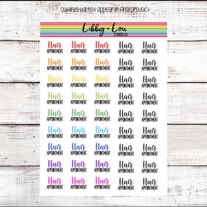 Hair Appointment Planner Sticker |  Rainbow | Hair Dye