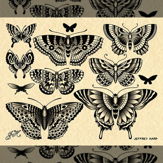 Pantry Moths - Best Price in Singapore - Dec 2023