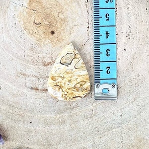 Plum Agate Cabochon in teardrop shape image 2