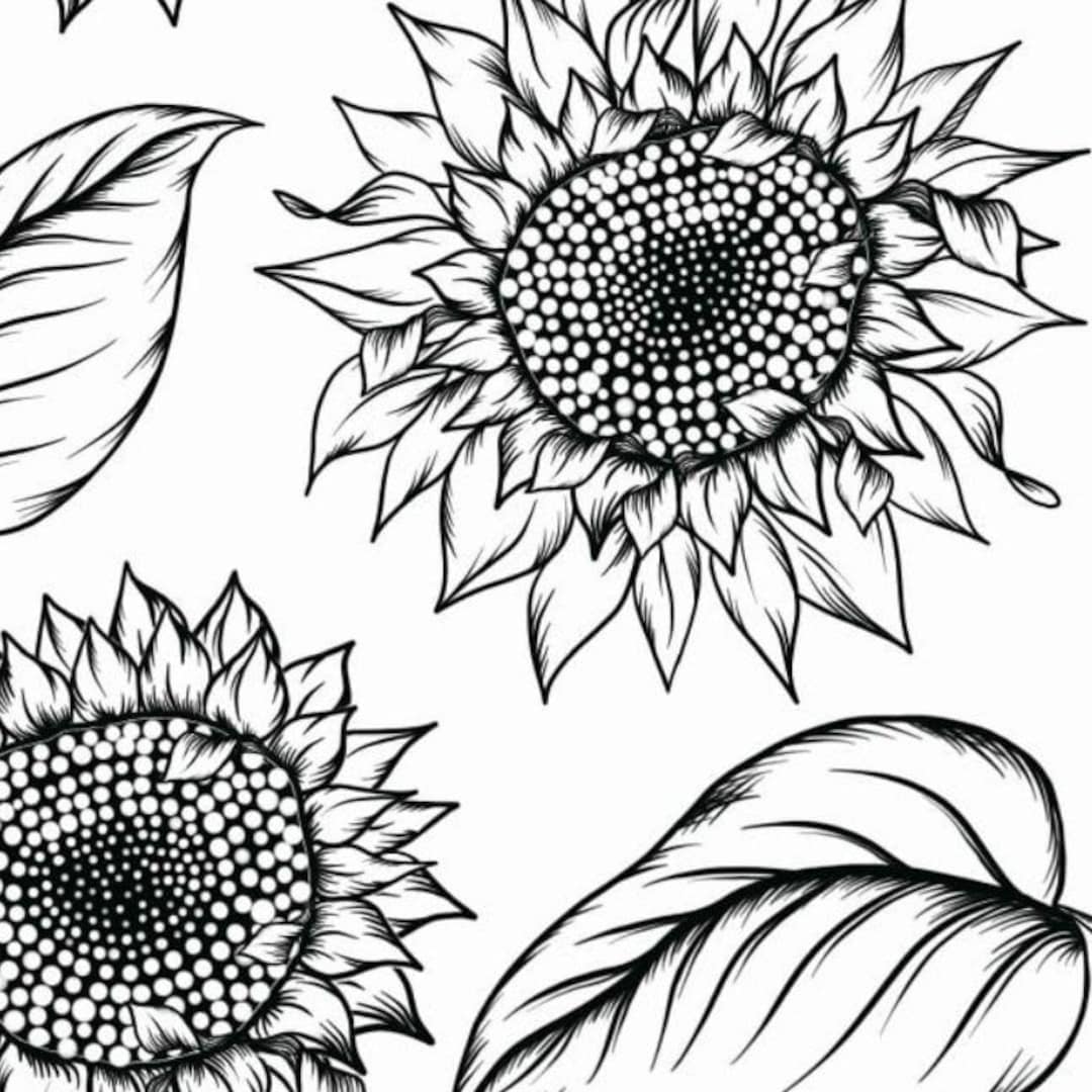 You Are My Sunshine Printable Set - Digital Download - Etsy