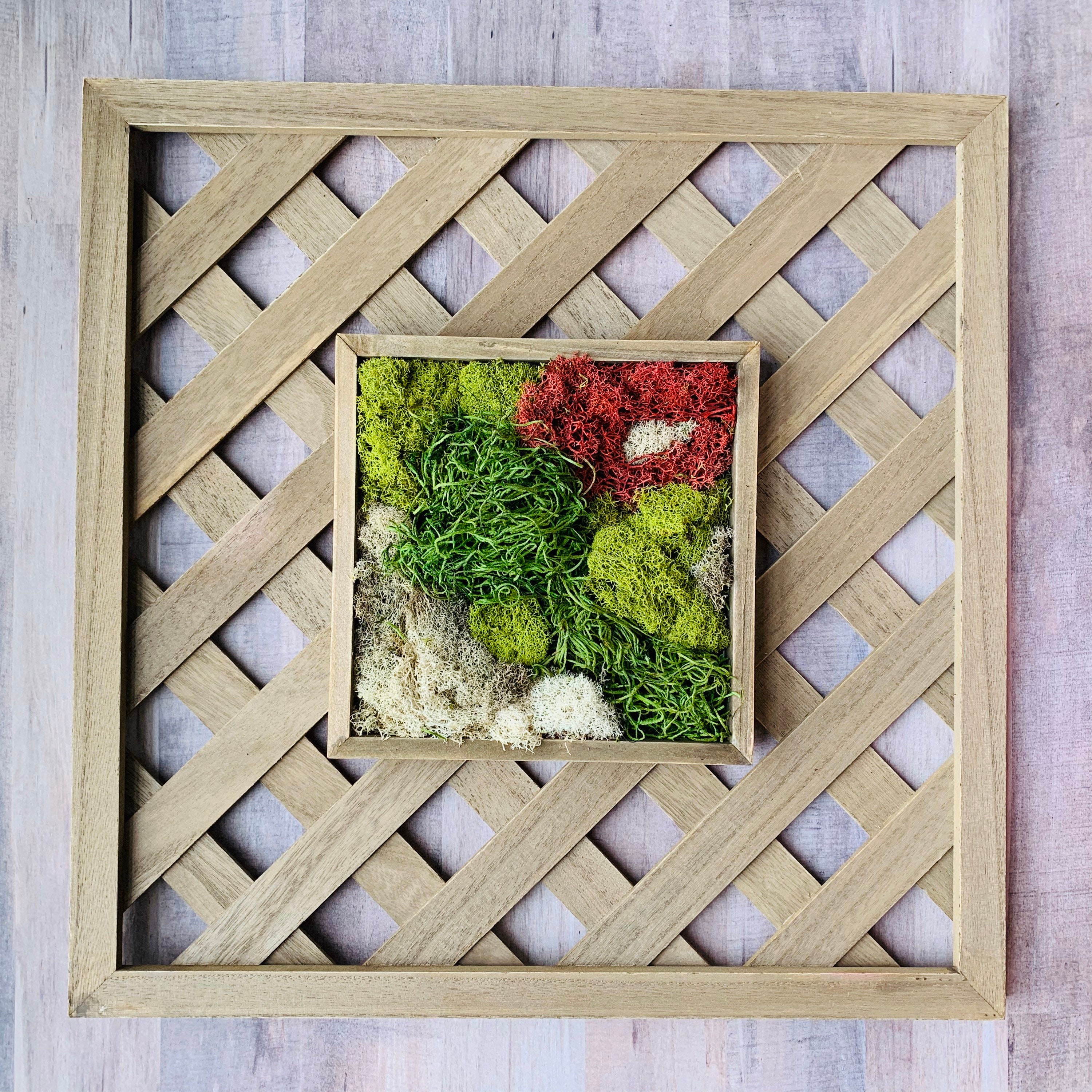 Moss Wall Art, Living Room Moss Wall Home Decor, Preserved Moss, Framed