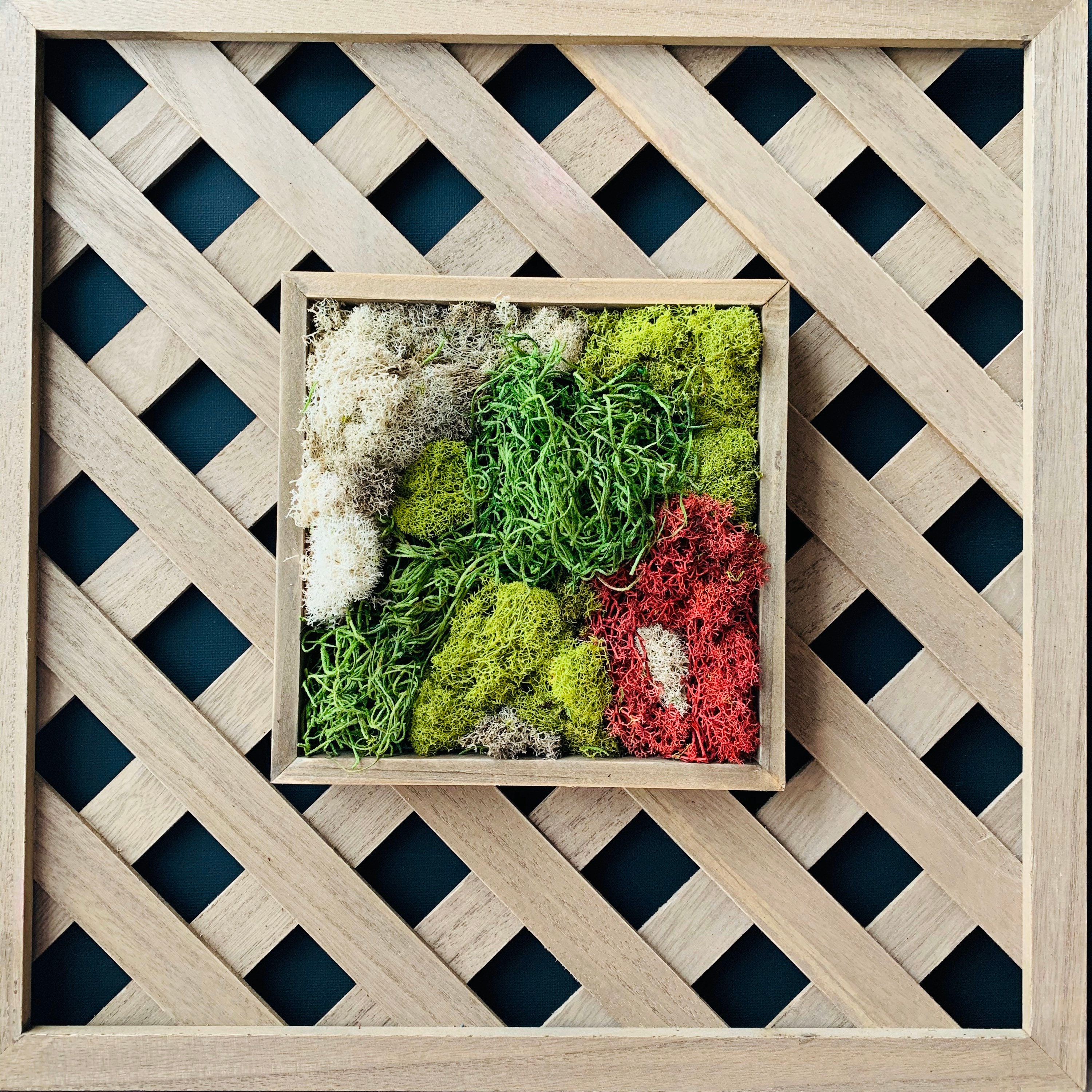Moss Wall Art, Living Room Moss Wall Home Decor, Preserved Moss, Framed