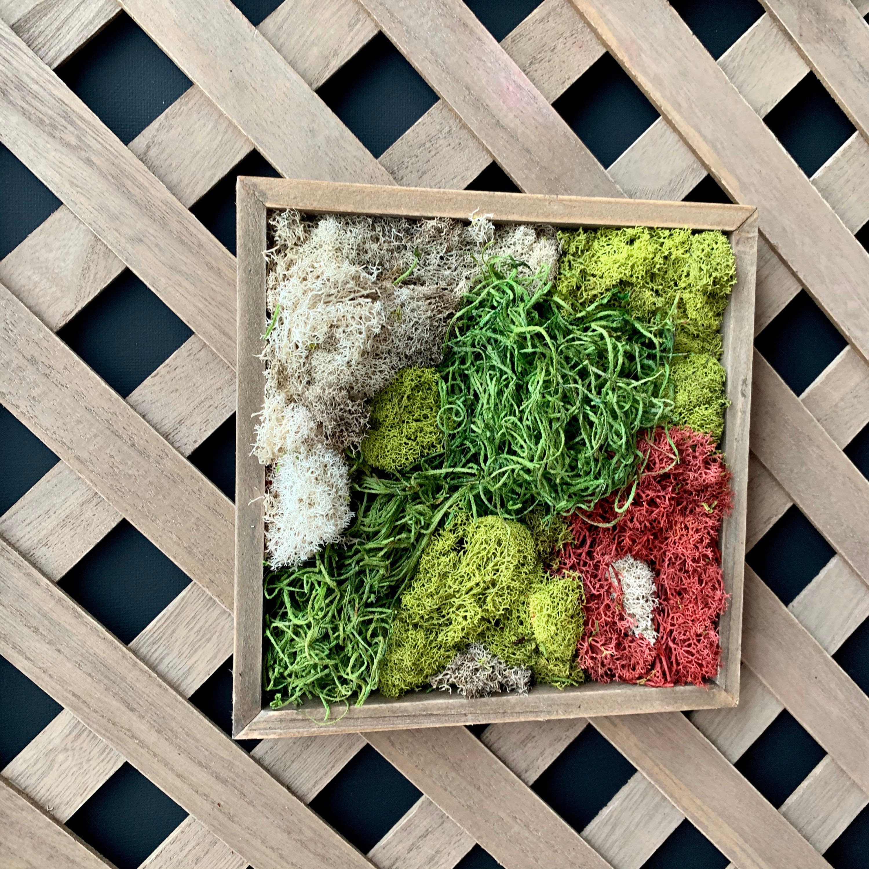 Moss Wall Art, Living Room Moss Wall Home Decor, Preserved Moss, Framed