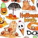 see more listings in the Clipart | Holidays section