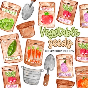 Jardinagem em aquarela, clipart de pacote de sementes de vegetais, jardinagem agrícola, download digital, uso comercial