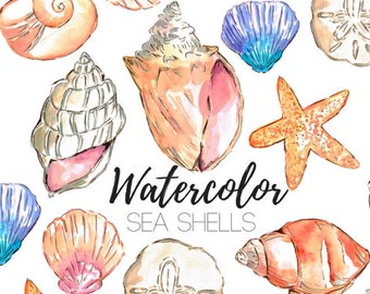 Watercolor Beach Seashell Clip Art Set - Hand drawn Tropical clip art - Commercial Use