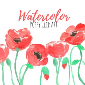 Poppy  Flower Clip art - Floral Clip Art - Watercolor Art - Watercolor Clip Art Commercial Use