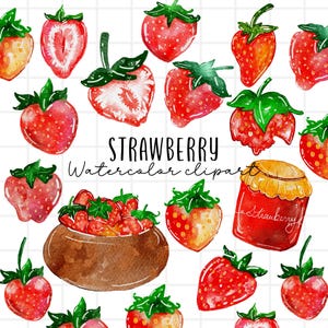 Watercolor strawberry clipart, fruit, strawberry jam, strawberry graphics, strawberry PNG, food illustration clipart commercial use