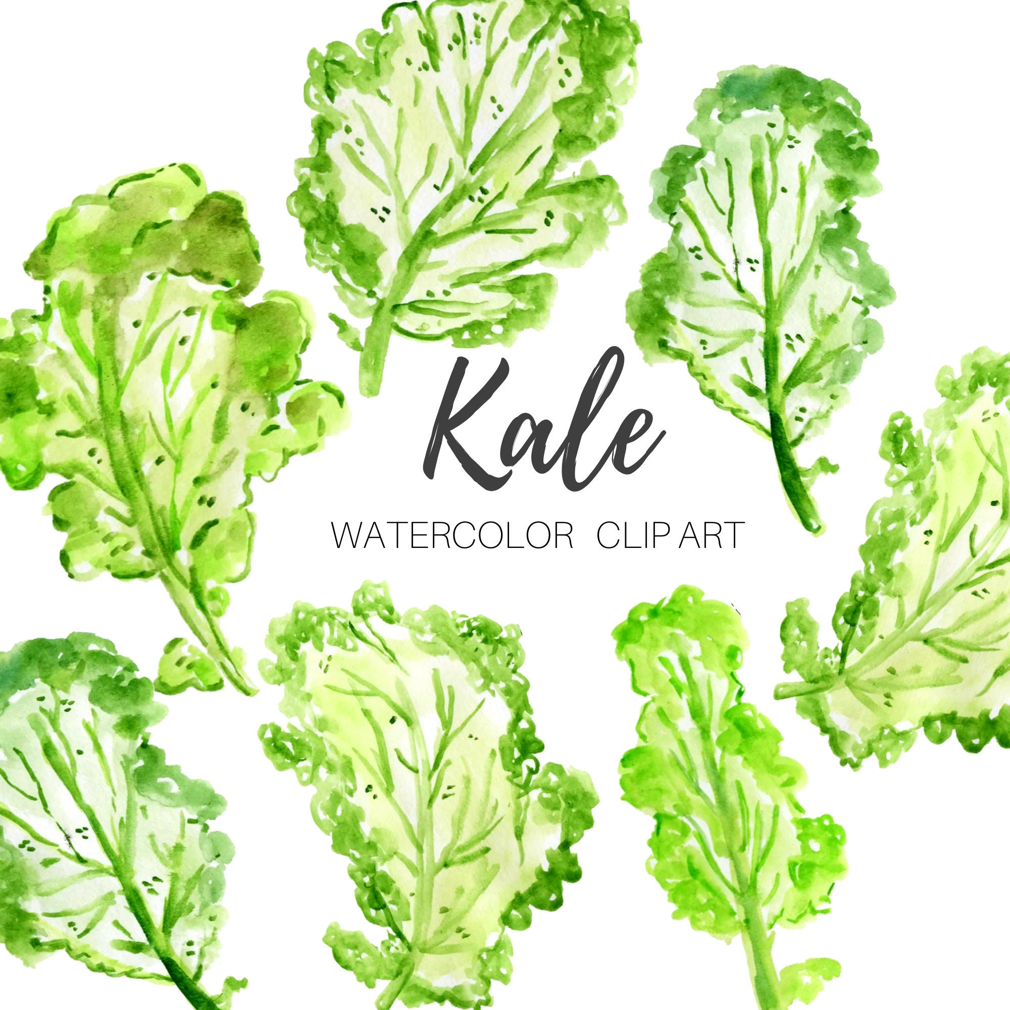 Green Leafy Vegetables Clipart