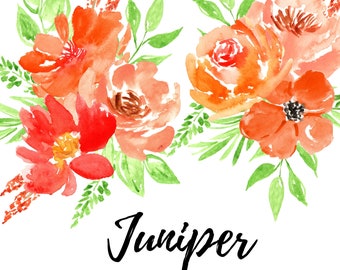 Red watercolor floral clip art - flower illustration graphics - commercial use