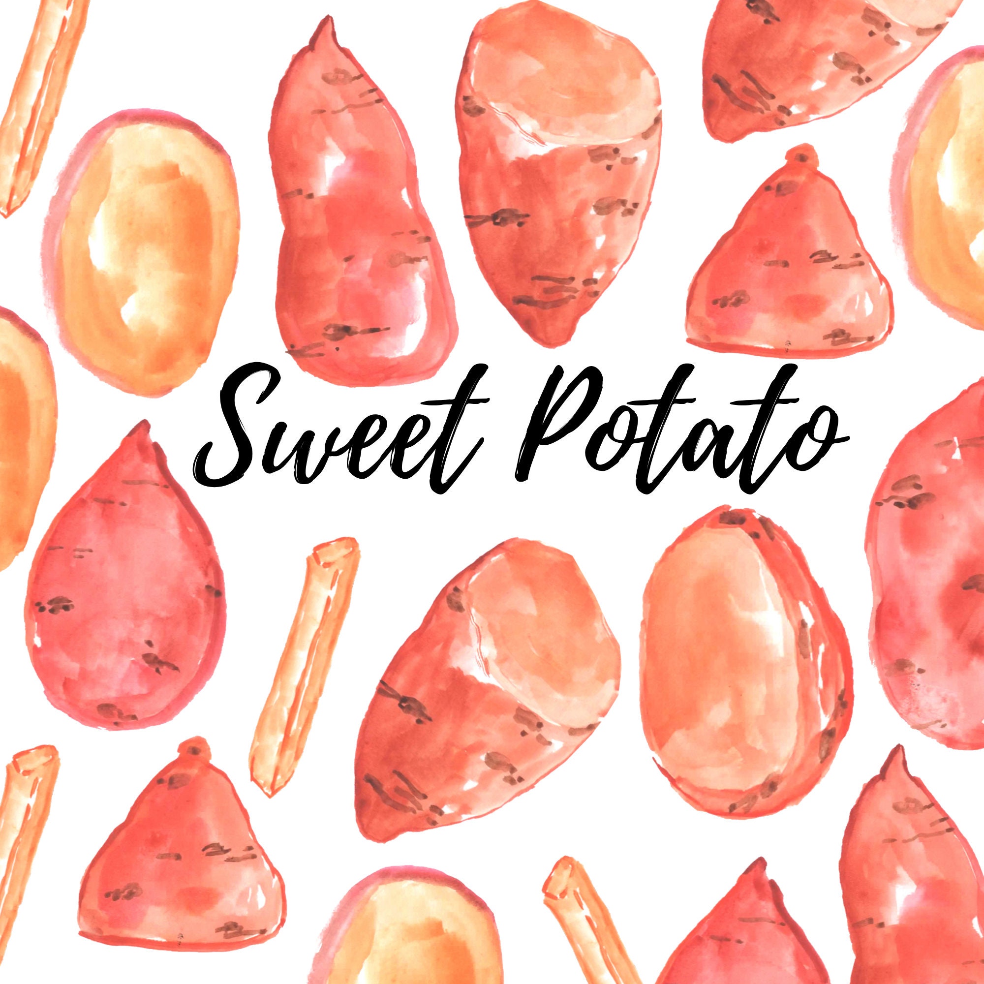 Watercolor Vegetable Sweet Potato Clip Art Commercial Use - Etsy