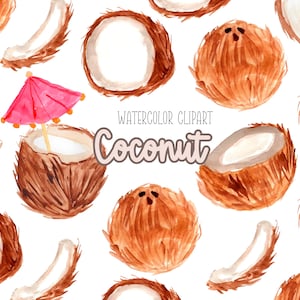 Kokosnoot clipart - tropische clipart - voedsel clipart - aquarel clipart - zomer clipart - commercieel gebruik