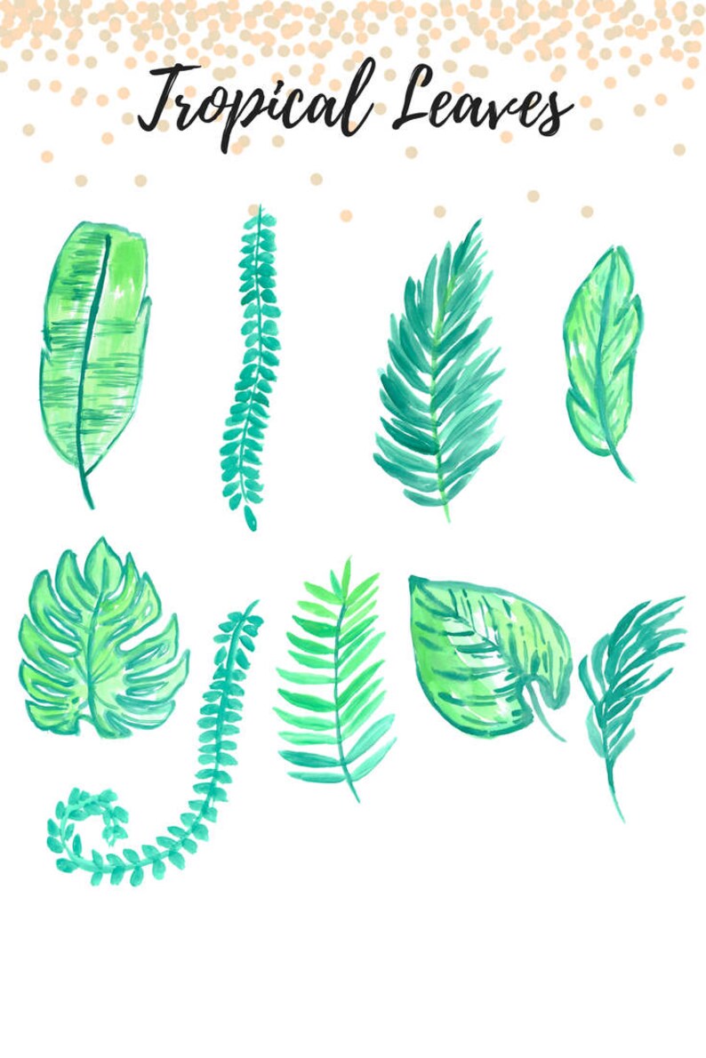 Tropische Blätter ClipArt tropischen ClipArt Insel ClipArt