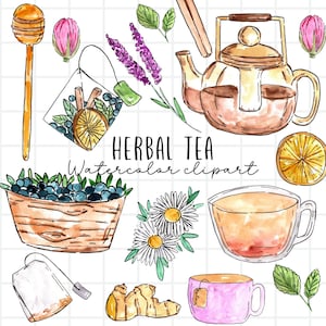 Clipart de aquarela - Chá de ervas - Bule de chá - Xícara de chá - Chá de folhas soltas - Arquivos PNG para uso comercial