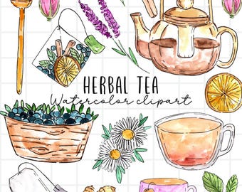 Watercolor clip art - Herbal tea - tea pot - tea cup - loose leaf tea - PNG files for commercial use