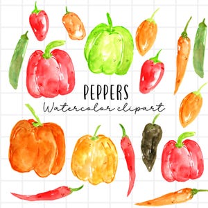 watercolor clip art - pepper clip art  - vegetable graphics - commercial use