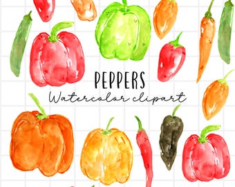 Illustraties aquarel - illustraties peper - plantaardige afbeeldingen - commercieel gebruik
