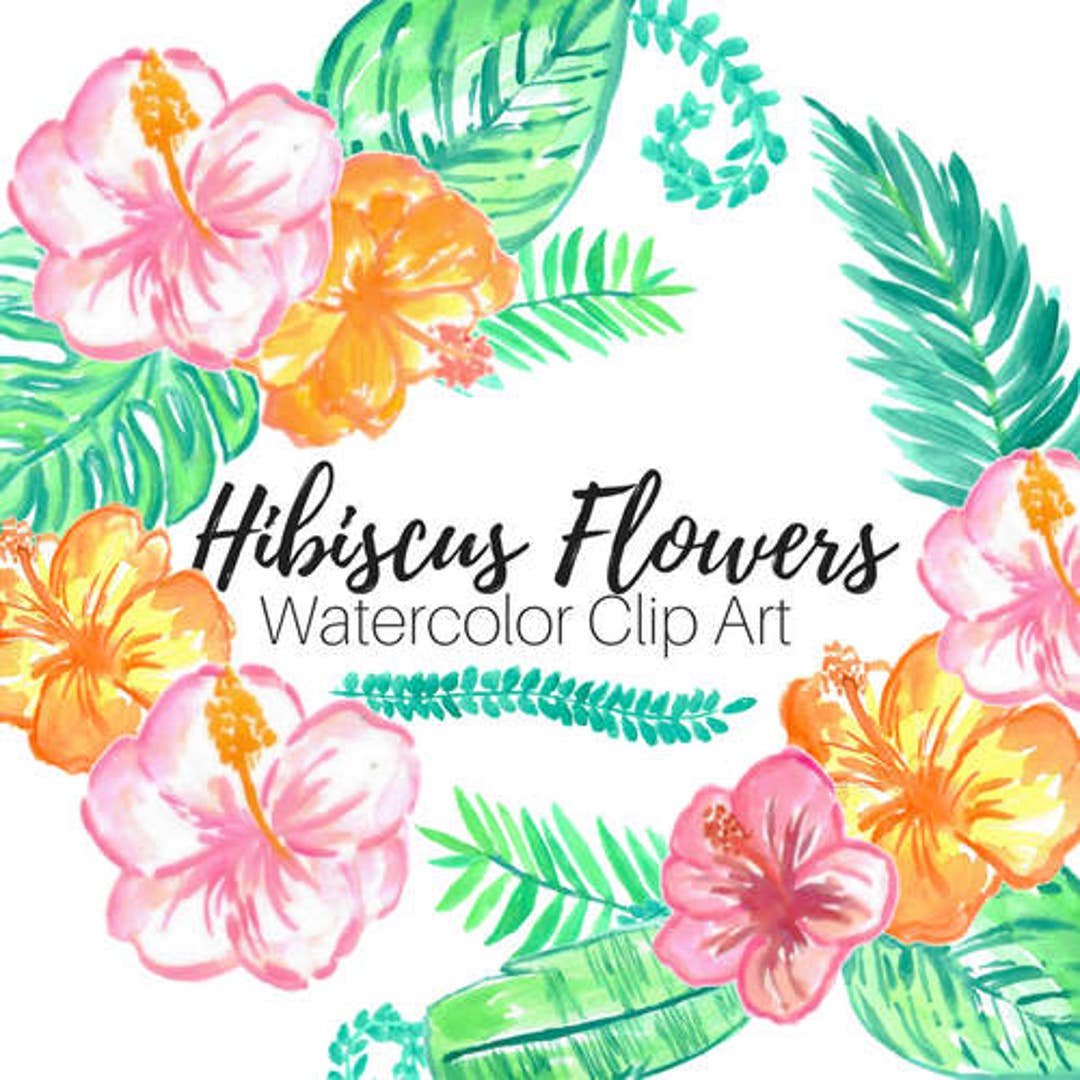 Hibiscus Clip Art Watercolor Clip Art Tropical Clip Art Floral Clip Art