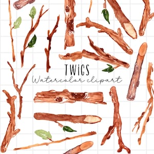 Watercolor clipart -Twigs,branches,nature, sticks,tree branch,sprig, found in nature,plant life  commercial use sublimation PNG