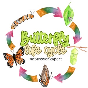 Aquarel vlinder levenscyclus clipart, kinderen wetenschap experiment graphics in PNG-formaat commercieel gebruik