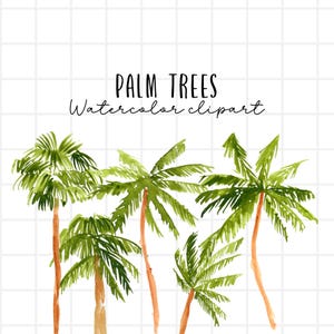 Watercolor tropical palm tree clipart, palm tree png, summer graphics digital download commercial use