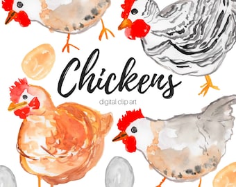 Chicken clipart - Watercolor clipart - animal clipart - farm clipart - Commercial Use