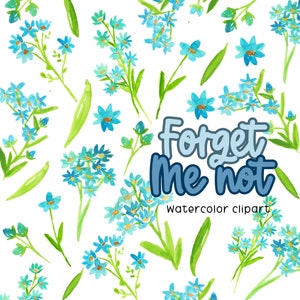 Watercolor clipart - flower clipart - forget me not clipart - floral clipart - watercolor flowers - Commercial Use