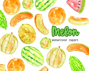 Watercolor melon clip art - fruit clip art - food graphics - watermelon - honey dew - cantaloupe commercial use