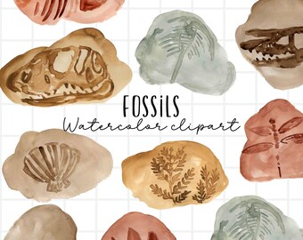 Watercolor fossil clipart -dinosaur graphics - animal illustration - commercial use.