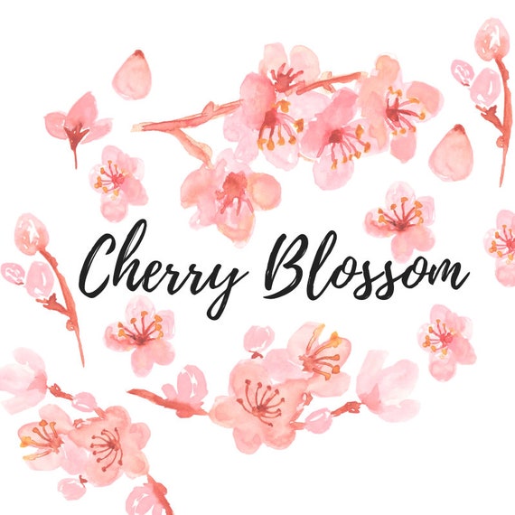 Watercolor Floral Clipart Cherry Blossom Clipart Japanese Etsy