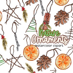 Aquarell Clipart, weihnachtsschmuck, natur, holz weihnachten,Bauernhaus, keine Verschwendung, Öko Weihnachten, Tannenzapfen, Stechpalme, getrocknete Orange