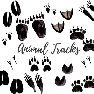 Watercolor Animal Tracks Clipart