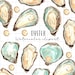 Watercolor Clipart - Oyster Clipart - Summer Clip Art - Seafood ...