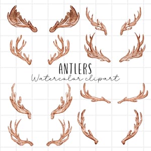 Watercolor deer antler clipart, hunting, forest, animal graphics woodland png commercial use