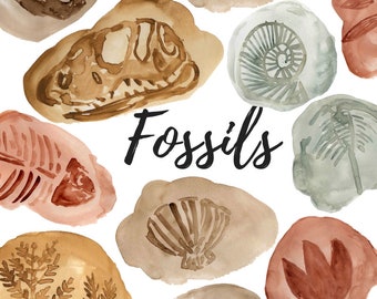 Watercolor fossil clipart -dinosaur graphics - animal illustration - commercial use.