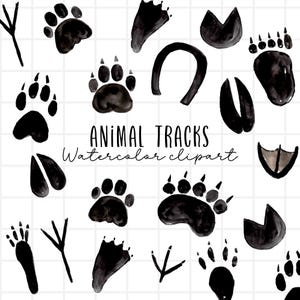 Animal track, animal print clip art - watercolor clip art -  commercial use